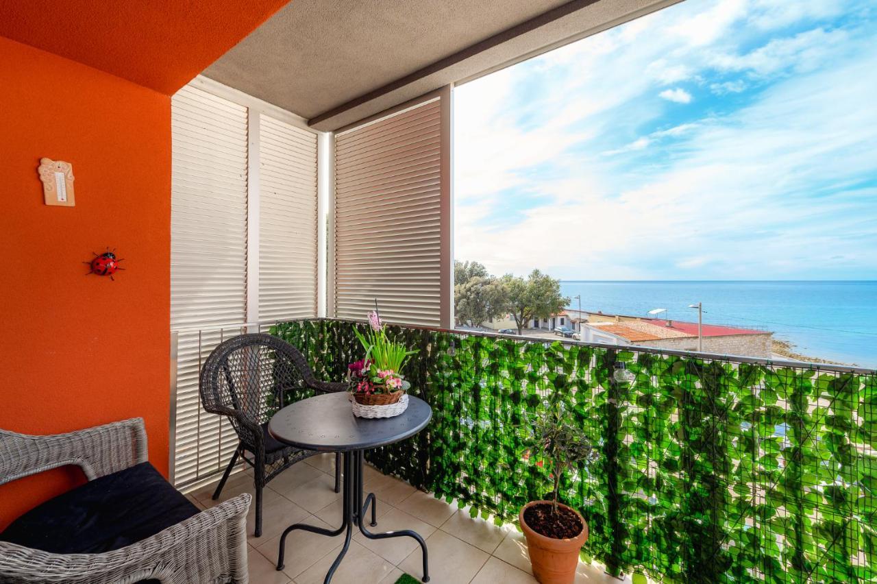 Apartment Ares 13 In Center